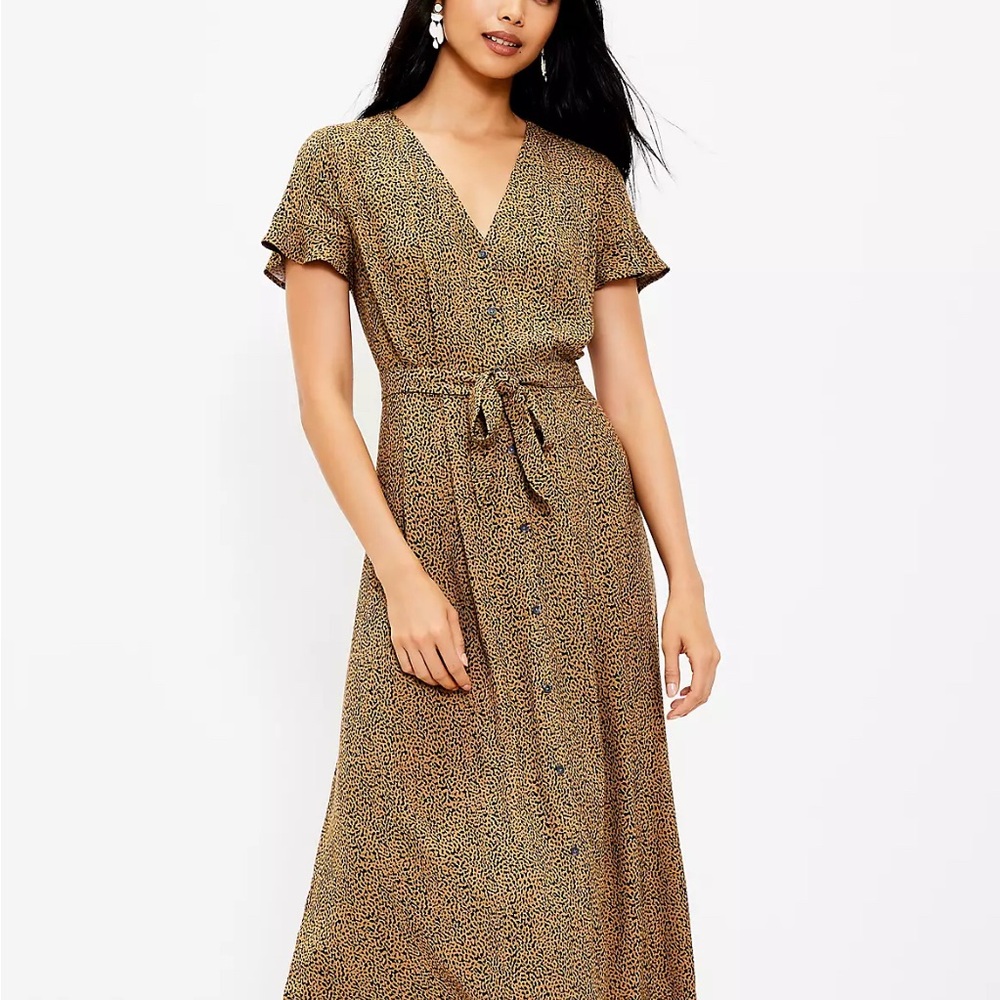 Leopard Print Maxi Dress